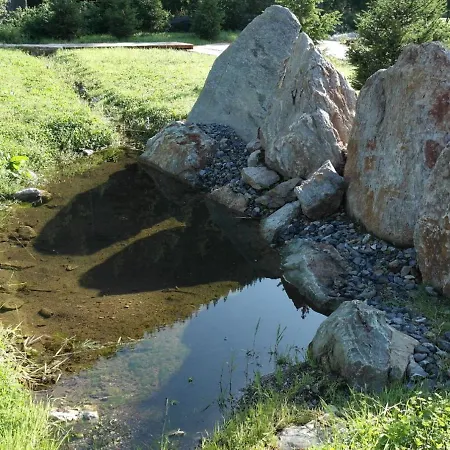 In Near Area